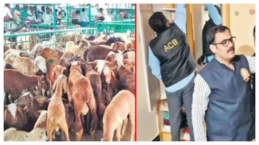 Sheep scam broker Moinuddin arrested