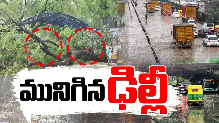 delhi rains