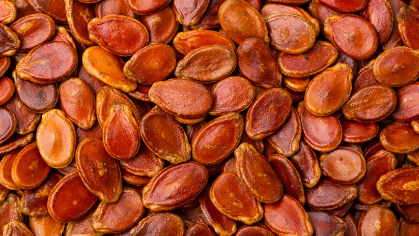 Watermelon Seeds