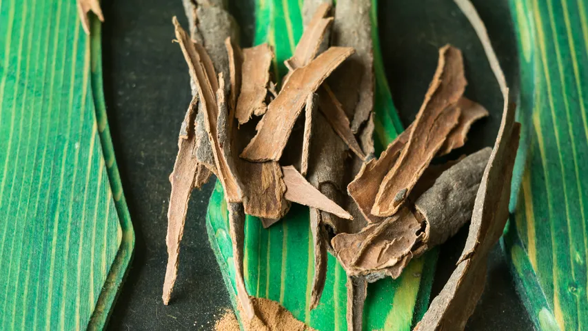 Terminalia arjuna bark