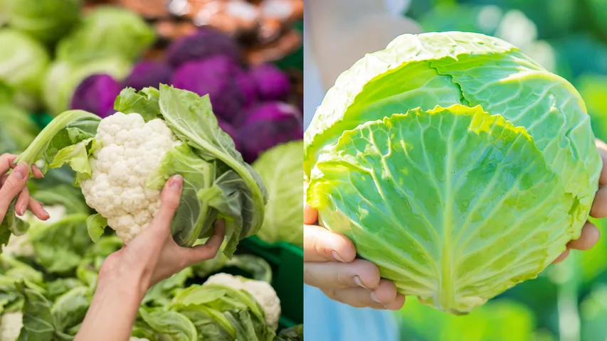 Cauliflower, cabbage