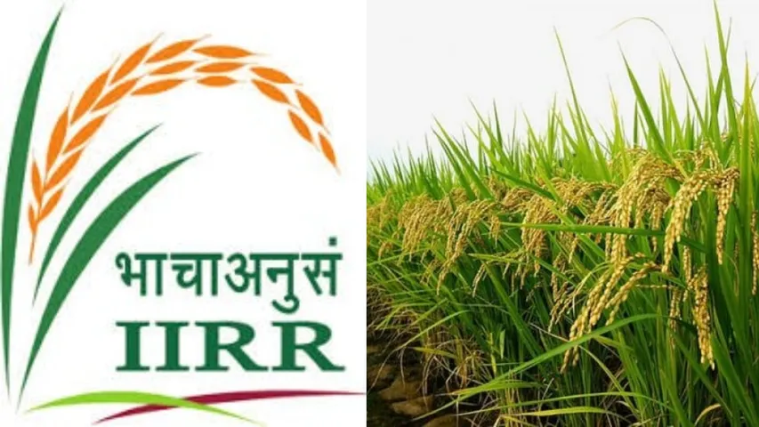 iirr hyd