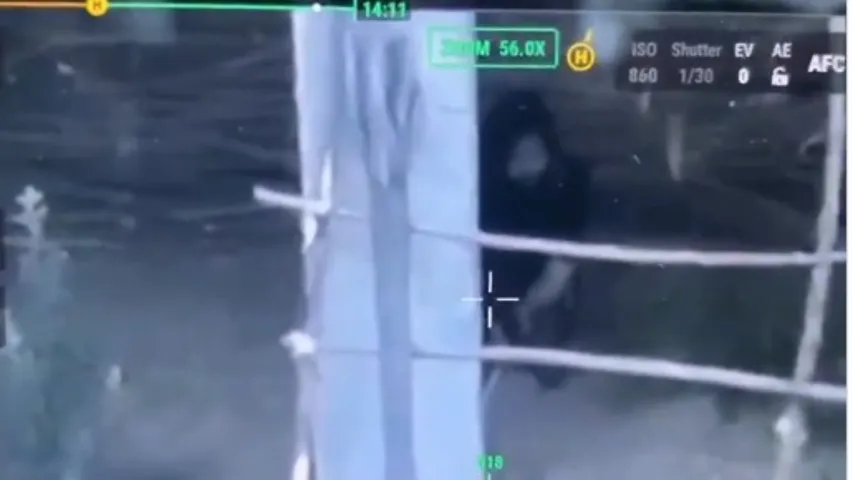 Terrorists Encounter Live Video By Army