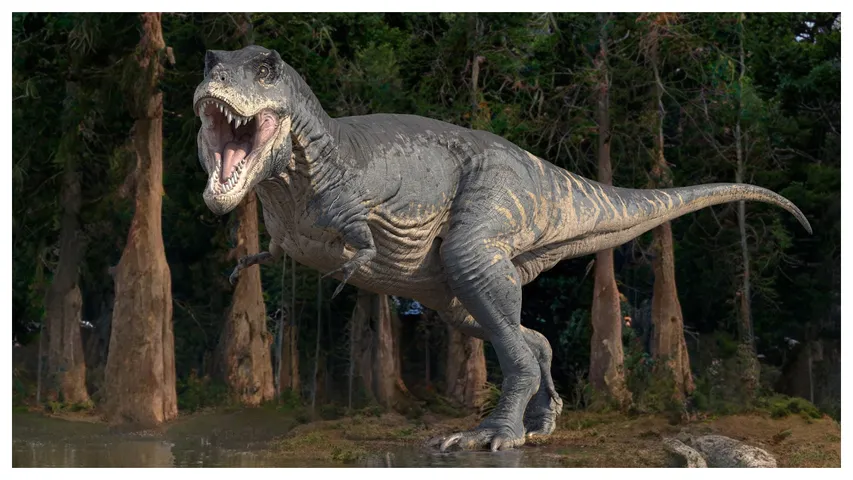 Dinosaur