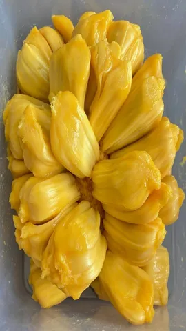 Jackfruit