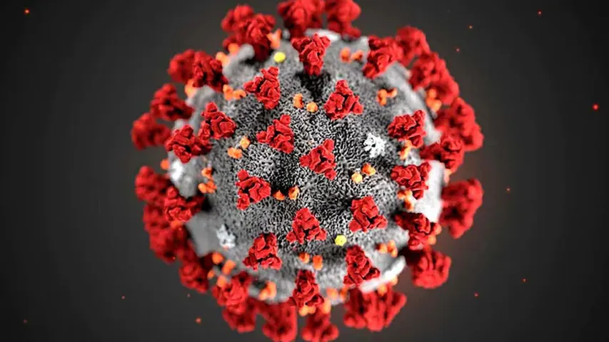 corona-virus