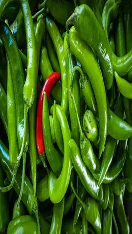 Green Chillies
