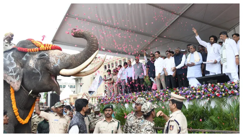 Kumki Elephants