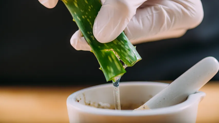 Aloe Vera