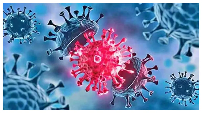 Coronavirus disease (COVID-19)
