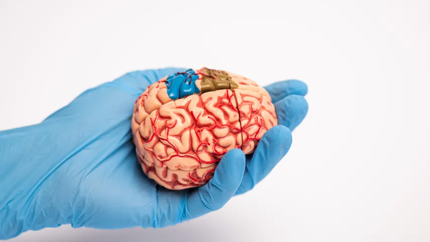 Brain Tips