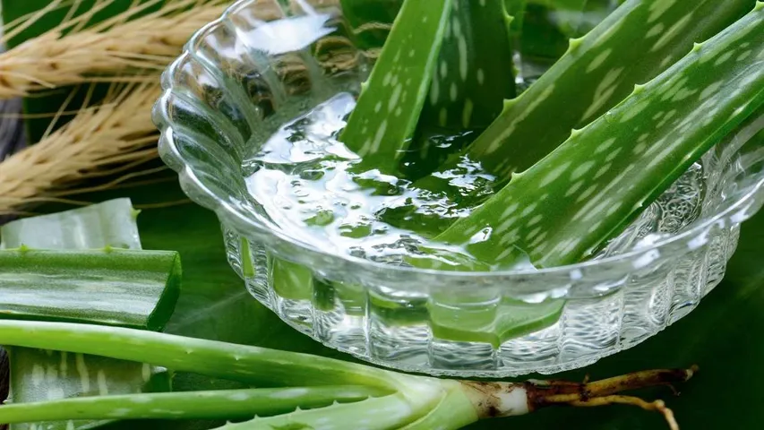 Aloevera juice
