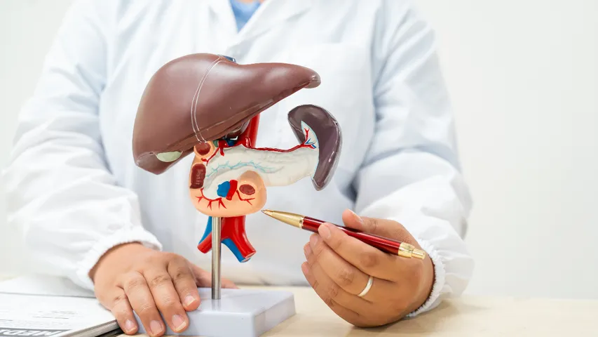Liver