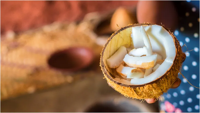 Dry Coconut