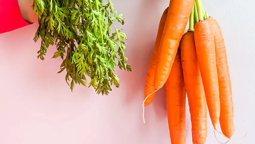 Carrots