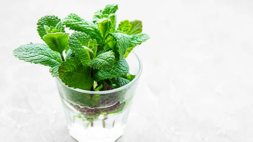 Mint Water