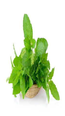 Tulsi face pack
