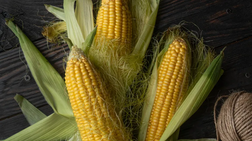 Corn