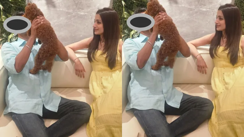 trisha post on vijay birthday gone viral