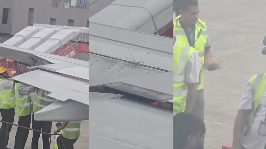 Bird nest on plane wing