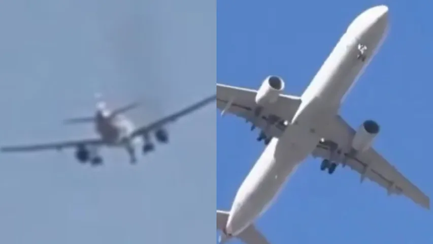 flight