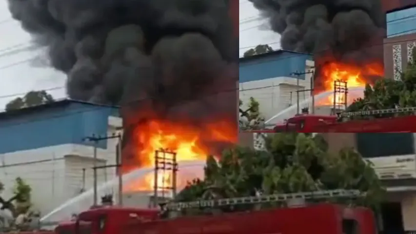 uttar pradesh fire breaks out in private firm in noida sector 2
