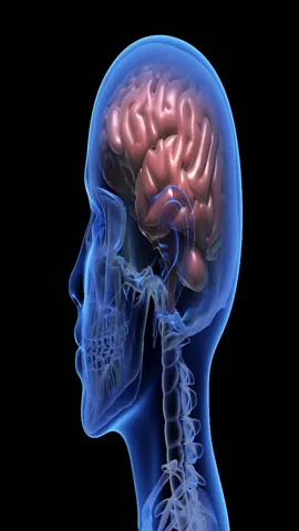Brain health