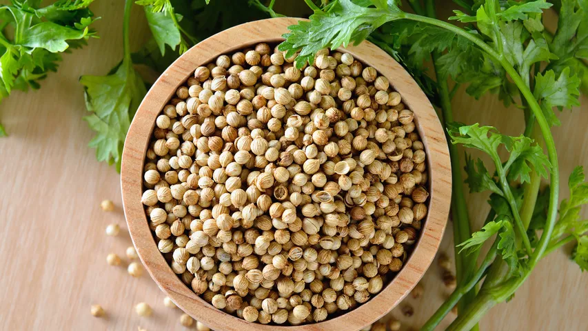 Coriander Seed Water
