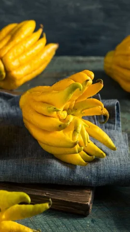 buddhas hand fruit