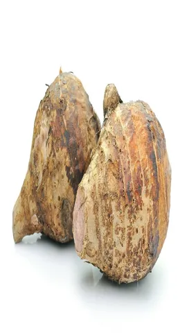 Elephant Foot Yam