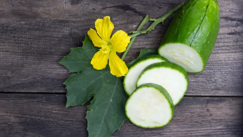 Cucumber