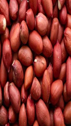 soaked Peanuts