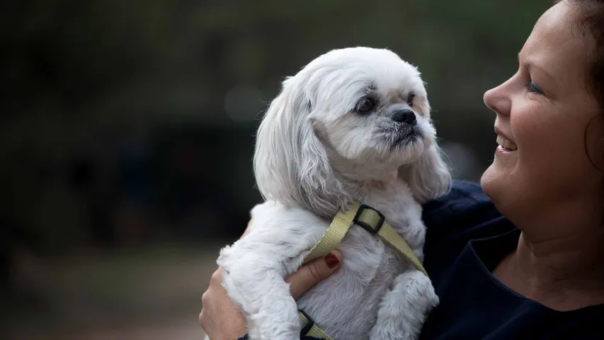 pet dog health secretes