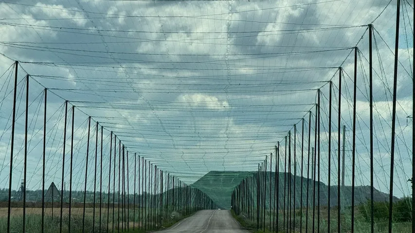 Nets