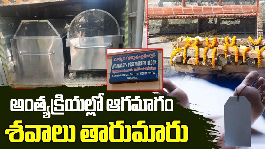 Warangal MGM Hospital