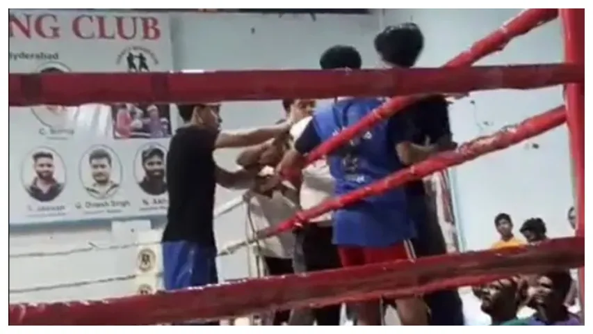 Boxers and coaches