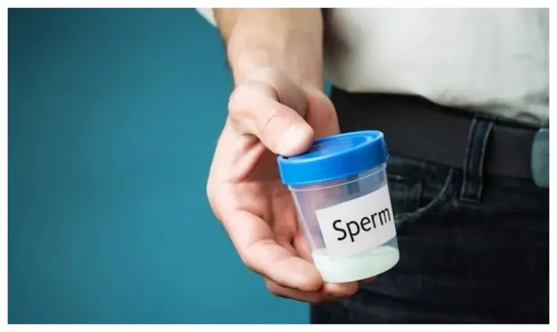Sperm Donation