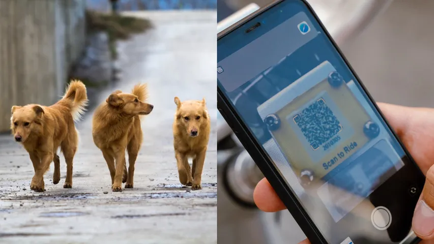 dogs QR Code