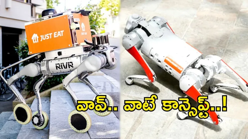 AI Robo Dogs Food Delivery