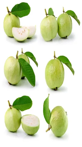 guava