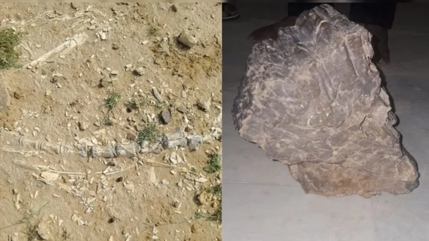 Jurassic Era