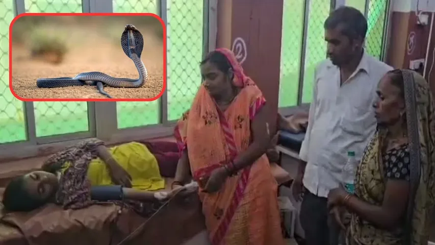 snake bites 15 year old girl 10 times in 42 days In uttar pradesh