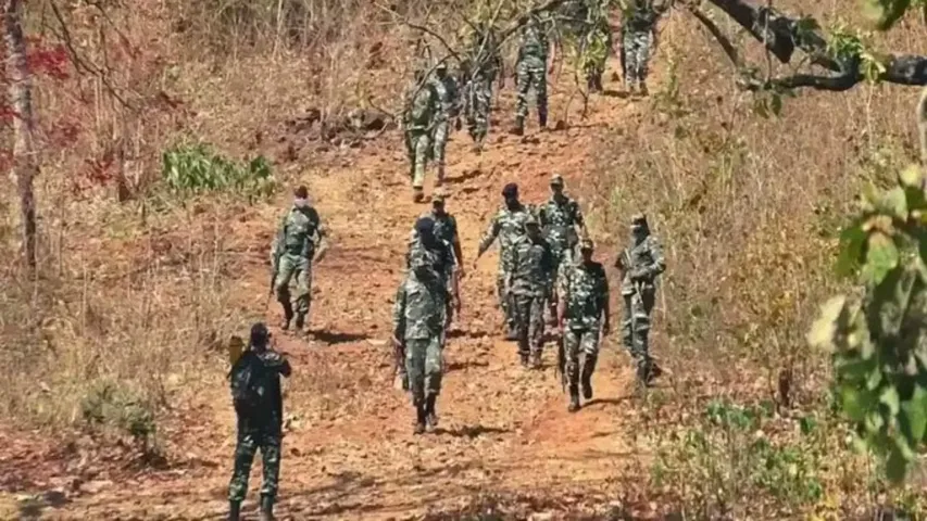 10 naxals