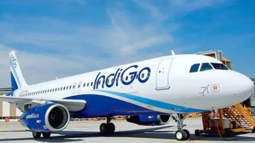 indigo