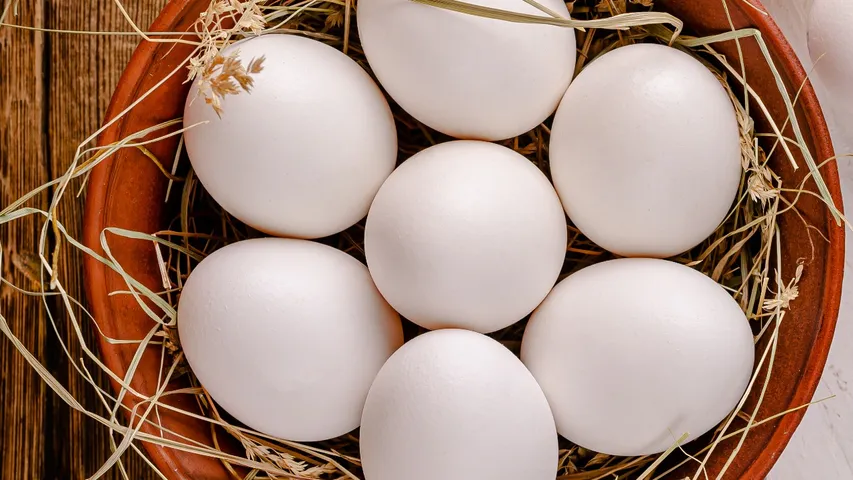 eggs