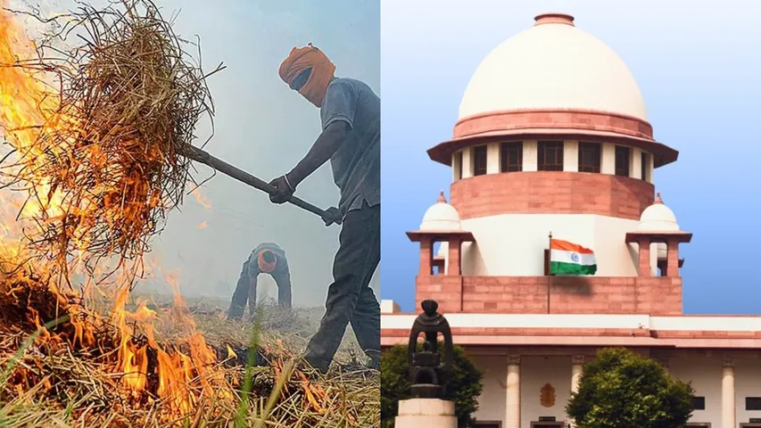 Send A Few Behind Bars, Says Supreme Court On Farmers Burning Stubble
