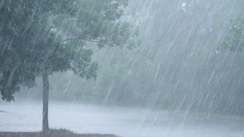 Heavy Rains