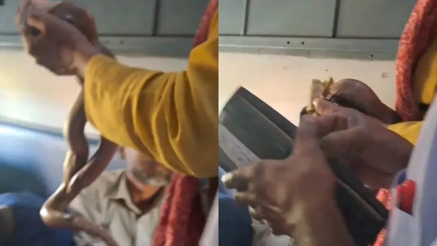 Man Carrying Snake Asks For Money From Train Passengers