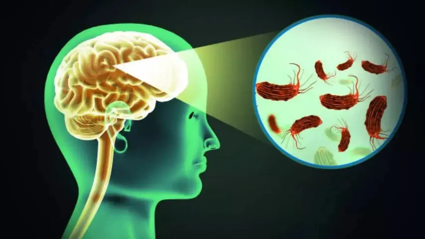 brain eating