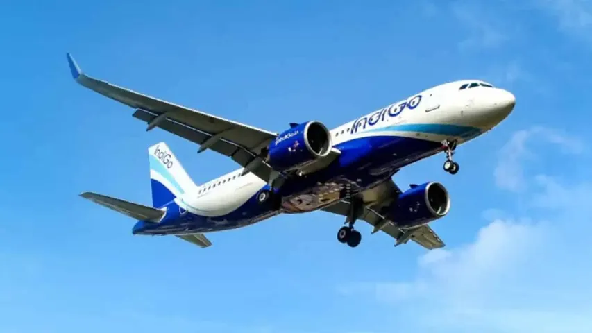 Indigo